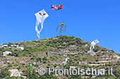 Ischia Wind Art, festival degli aquiloni 8