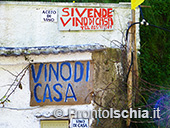 Il fascino discreto di Serrara 4