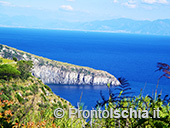 I sentieri della lucertola di Barano 1