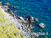 I sentieri della lucertola di Barano 3