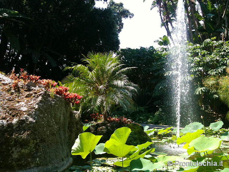 Maggio a Ischia: 4 (+1) cose da fare 12