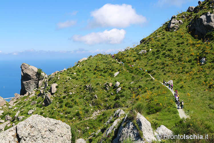 Maggio a Ischia: 4 (+1) cose da fare 22