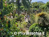Giardini Ravino: Natura, Relax e Cultura sull’isola d’Ischia 4